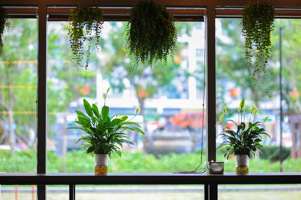 Pollution industrielle : focus sur la Chine, le plus grand pollueur mondial